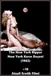 New York Karın Deşeni 1080p Sex Filmi izle